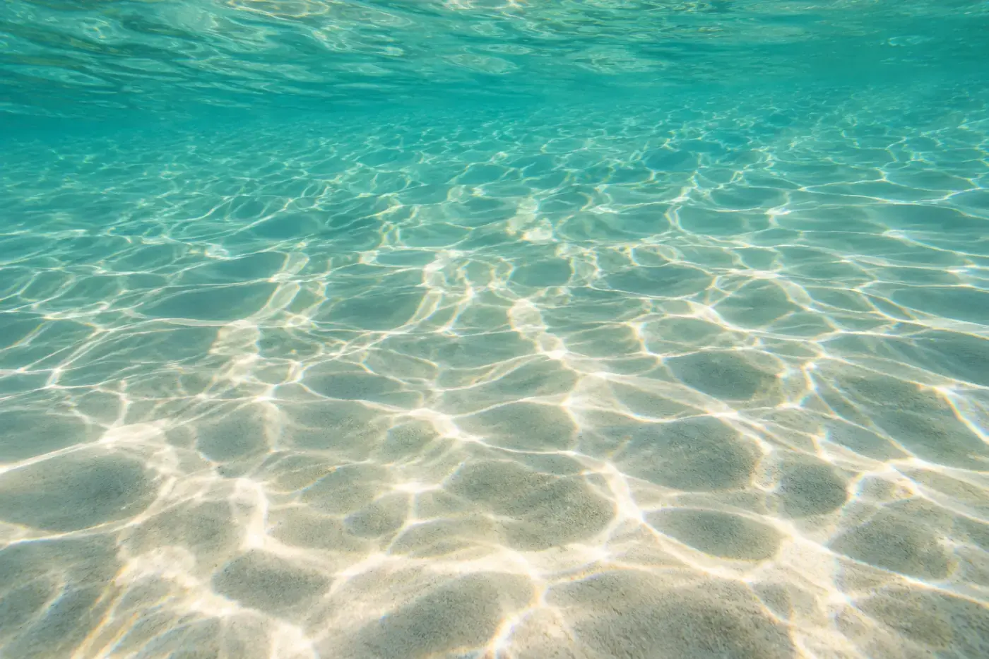 Sunlight dancing through clear shallow water